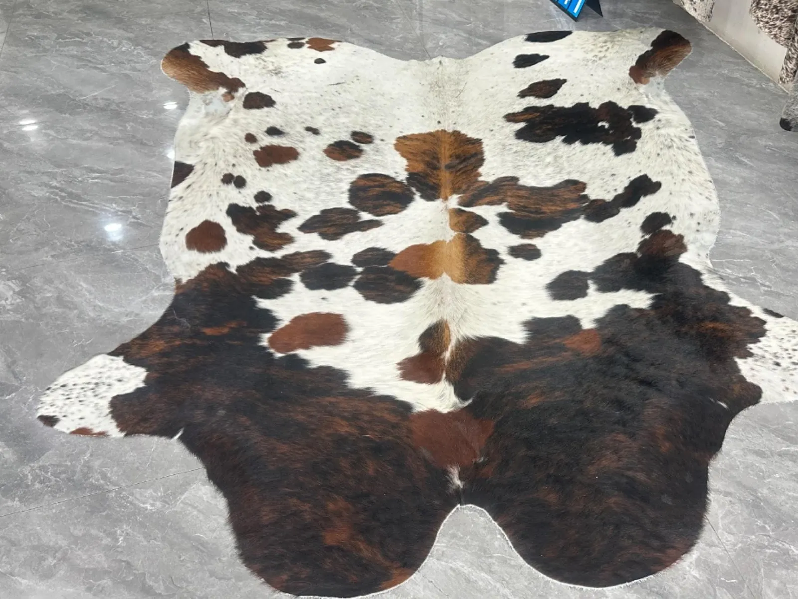 Full hide laid out for selection