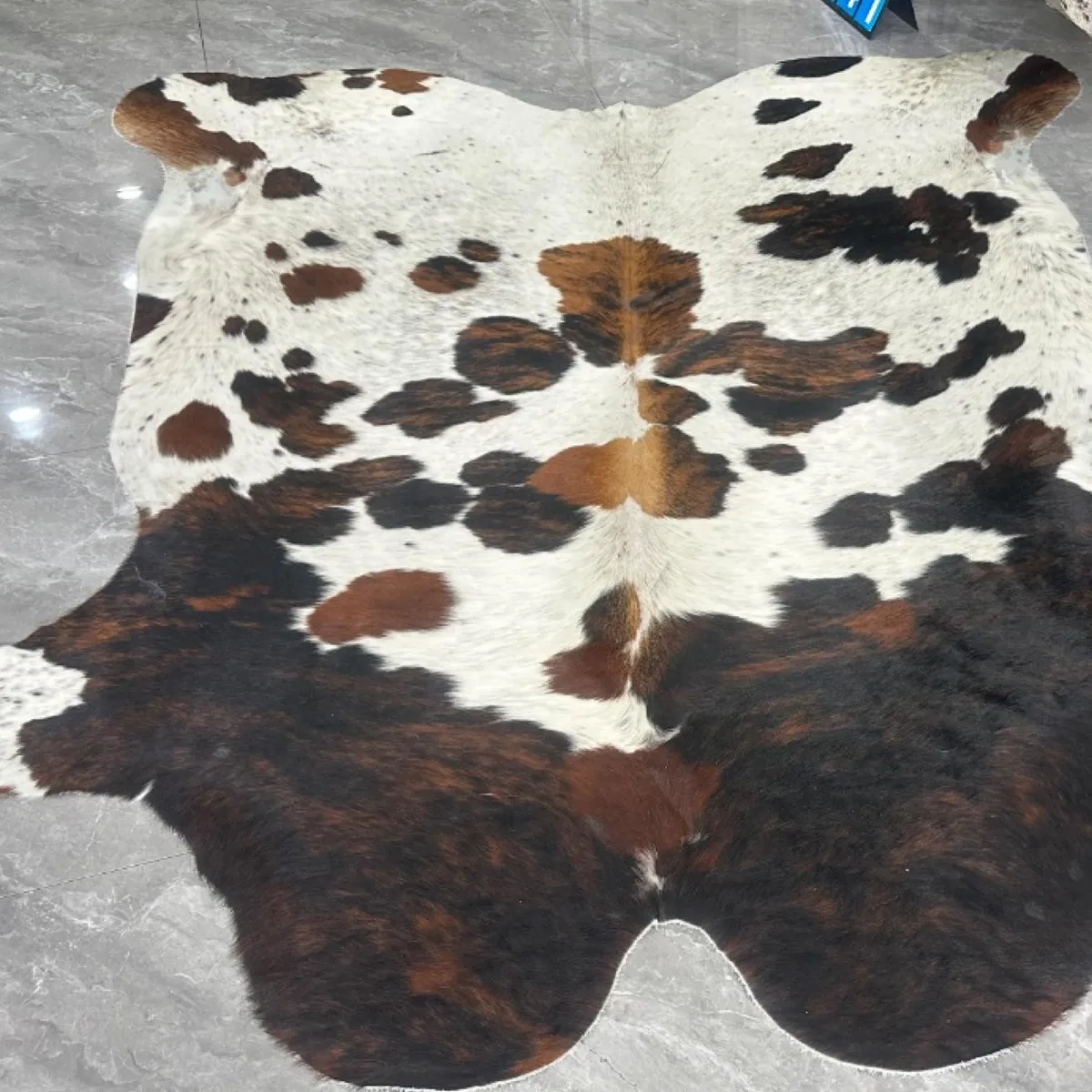 Full hide laid out for selection